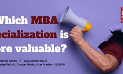 Which MBA Specialization is more valuable?