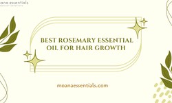 The Ultimate Guide to Choosing the Best Rosemary Essential Oil for Hair Growth