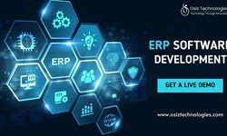 Empower Your Enterprise: Uncover the Power of Osiz's ERP Development