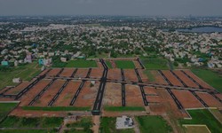 Buying a Plot of Land in Chennai: What Makes it a Good Idea