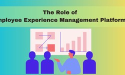 The Role of Employee Experience Management Platforms