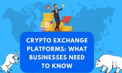 Crypto Exchange Platforms: What Businesses Need to Know