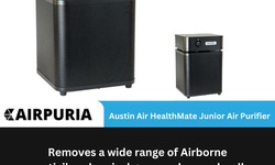Decoding Clean Air: The Technology Inside the Austin Air HealthMate Junior .
