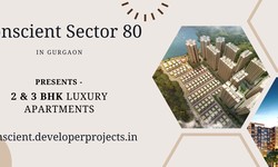 Conscient Sector 80 Upcoming Apartments In Gurgaon - Your Comfort Zone