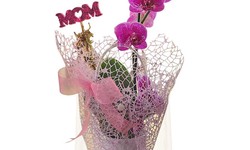 Choosing the Perfect Orchid Bouquet for Mother's Day
