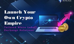 Whitelabel crypto exchange development; A step by step guide on cryptocurrency exchange!