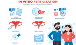 Unlock Fertility: Ovulation Induction in Patna with Dr. Neelu Prasad