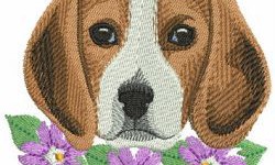 Unveiling the Steps of Successful Custom Embroidery Digitizing