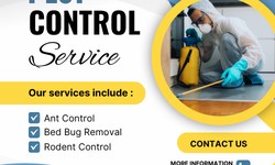 Dacre's Pest Control Services: Eradicating Infestations in Kuraby