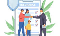 A Comprehensive Guide to Insurance Companies in UAE