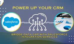 How to Power up Your CRM & Bridge Data Gap with Salesforce Integration Services?