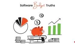 The Truths Behind Software Budget Mismanagement
