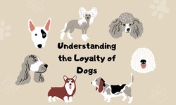 Unraveling the Canine Code: Understanding the Loyalty of Dogs
