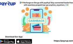 Effortless Connectivity: Recharge Anytime with payRup