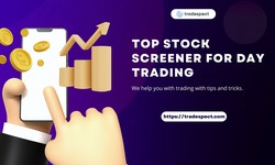 A Guide To Select Top Stock Screener For Day Trading Success