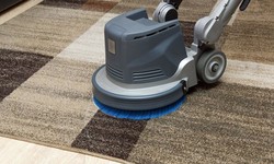 5 Must-Know Tips for Choosing the Right Carpet Cleaning Service Provider