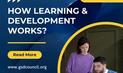 How Learning and Development Works?