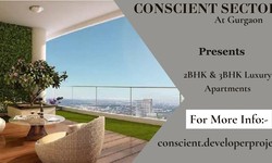 Conscient Sector 80 In Gurgaon - The Wonder Of Living Amidst