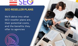 Empower Your Agency: Unlocking the Potential of SEO Reseller Plans