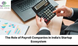 The Role of Payroll Companies in India's Startup Ecosystem