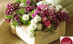 How to Personalize Gift Hamper with Handpicked Flowers?