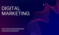 Digital Marketing Agency in Denver