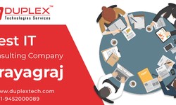 Discovering Excellence in IT Consulting: Duplex Technologies in Prayagraj