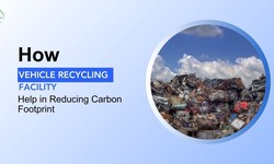 How Vehicle Recycling Facility Help in Reducing Carbon Footprint?