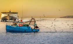 Unveiling the Best Commercial Fishing Supplies in Florida: Your Ultimate Guide