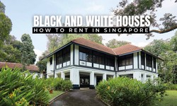 Decorating Tips for Black and White Homes in Singapore