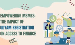 Empowering MSMEs: The Impact of Udyam Registration on Access to Finance