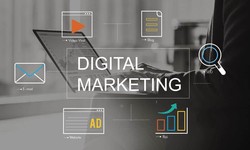 Why Your Noida Business Needs a Digital Marketing Agency Now More Than Ever