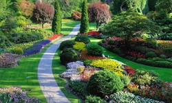 How Can a Landscaping Company in Saudi Arabia Help Improve Your Property
