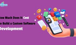 How Much Does It Cost to Build a Custom Software Development?