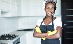 The Role of Cleaning Companies in Abu Dhabi
