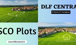 DLF Central 67 Sector 67 Gurgaon - Awesome Value! Great Location!