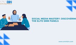 Social Media Mastery: Discovering the Elite SMM Panels