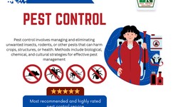 The Impact of Rat Pest Control on Your Home