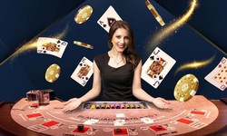 From Roulette to Slots: Every live Casino Games You Need to Know