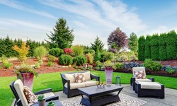 Achieve a Stunning Landscape Without Breaking the Bank