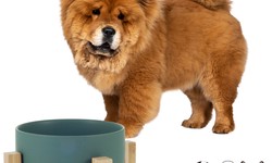 Elevate Your Pet's Dining Experience with Ceramic Pet Feeding Bowls from The Stinky Dog