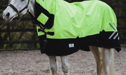 Bare Essentials: Why Your Horse Needs a No-Fill Turnout Rug
