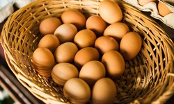 Top 5 Egg Suppliers in Singapore for Fresh and Quality Eggs
