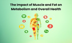 The Impact of Muscle and Fat on Metabolism and Overall Health