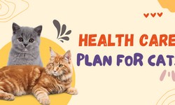 Pet Healthcare Packages