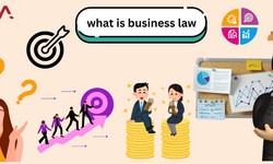 what is business law