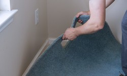 10 Signs It's Time for Carpet Replacement: Knowing When to Upgrade Your Flooring