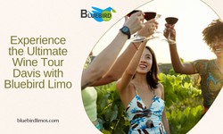 Experience the Ultimate Wine Tour Davis with Bluebird Limo