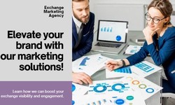 Best Exchange Marketing Agency in 2024: Elevating Your Business with Exchange Marketing
