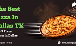 The Best Pizza In Dallas TX : Top 5 Pizza Points in Dallas